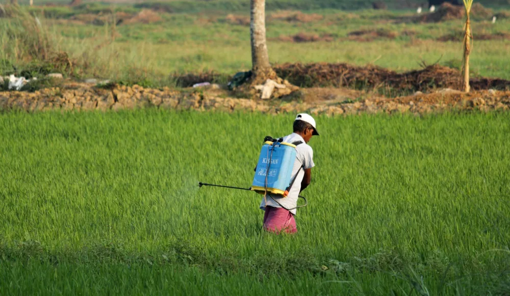 Understanding Kisan Loans: A Lifeline for Indian Agriculture